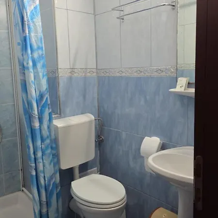 Pensiunea Andra Guest house