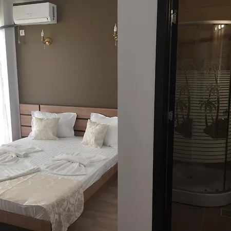 Guest house Pensiunea Andra 3*